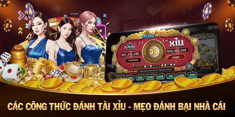 MCLUB-Hành trình may mắn bắt đầu tại casino trực tuyến!